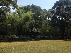 -申粤轩酒楼·三十年粤菜经典(丁香花园店)