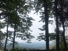 -莫干山风景区