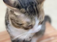 -玉椰林甜品店(创始店)