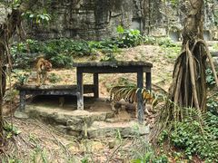 -广州长隆野生动物世界