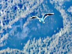 -丽江泸沽湖景区