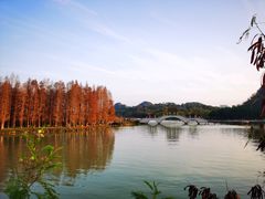 -星湖旅游景区七星岩