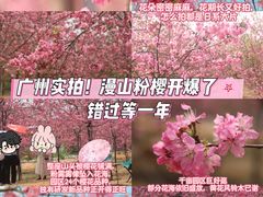 -天适樱花悠乐园