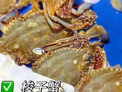 -王四营海鲜市场