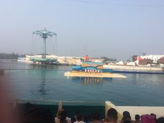 -秦皇岛乐岛海洋王国