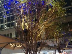 景观位-绿茵阁(中华广场店)