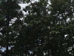 -老界岭旅游度假区