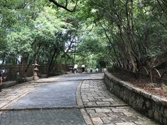 -灵岩山风景区
