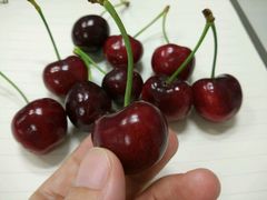 -花园街6号(千禧店)