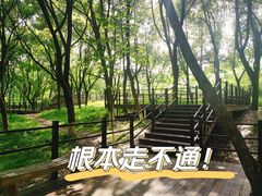 -良渚古城遗址公园