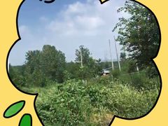 -恋山坝上草原