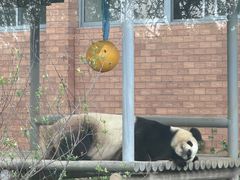 -苏州太湖国家湿地公园