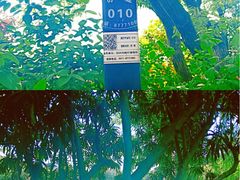 -西湖外事游船(花港观鱼码头)