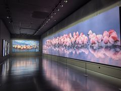 -罗红摄影艺术馆