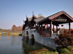 -上海海湾国家森林公园