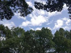 -石燕湖生态旅游景区
