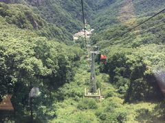 -牛背梁国家森林公园