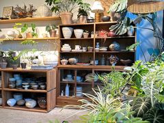 -自由生长植物工作室(深港花卉中心店)
