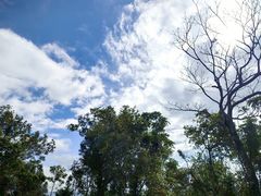 -海南热带雨林国家公园吊罗山景区