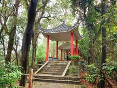 -荔香公园