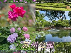 -苏州公园(双塔街道)