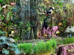 -正佳雨林生态植物园