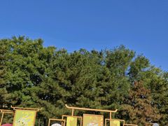 -汉长安城未央宫国家考古遗址公园