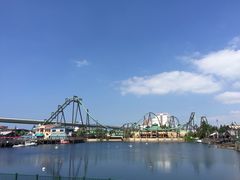 -飞天翼龙