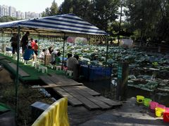 -白塘生态植物园