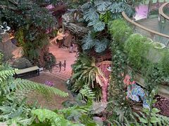 -正佳雨林生态植物园