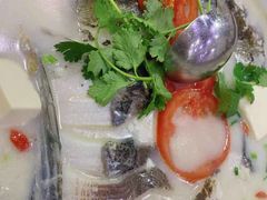 千岛湖浓汤鱼头-全乐鱼馆·淳牌有机鱼直营店
