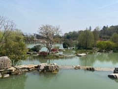 -牛首山文化旅游区