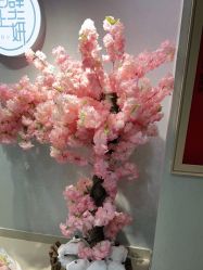 点击看大图 -白壁上妍の日式美肌·徒手小颜整骨院