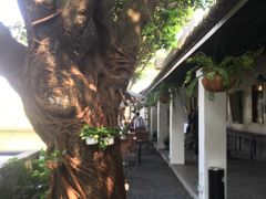 -喜洲吧·江畔老船厂·庭院餐厅(喜临院店)