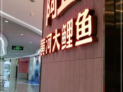 门面-阿五黄河大鲤鱼(海尚店)