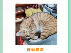 -申普宠物医院·眼科·心内科·影像科(普陀分院)