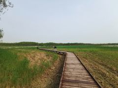 -西青郊野公园