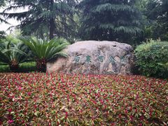 -后襄河公园