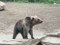 -沈阳森林动物园