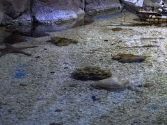 -多彩贵州城极地海洋世界