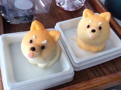 -柴犬高等学院·狗咖·柴犬售卖·宠物训练