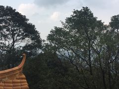 -广州市帽峰山景区