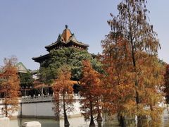 -顺峰山公园