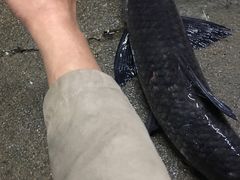 -邹记·美食(斗门店)