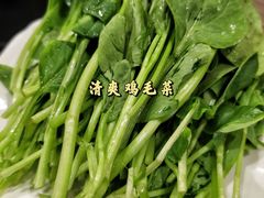 -丫丫汤膳打边炉(宏府408坊店)