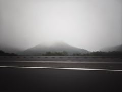 -深圳野生动物园