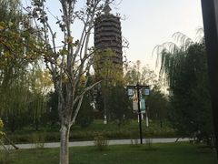 -西海子公园