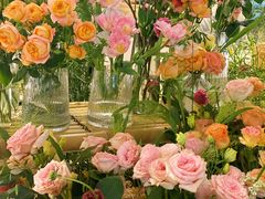 -一坐一忘云南菜(卓悦中心)