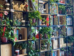 -ZING COFFEE 镜咖啡