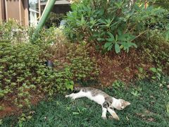 -雅达·阳羡溪山小镇中心